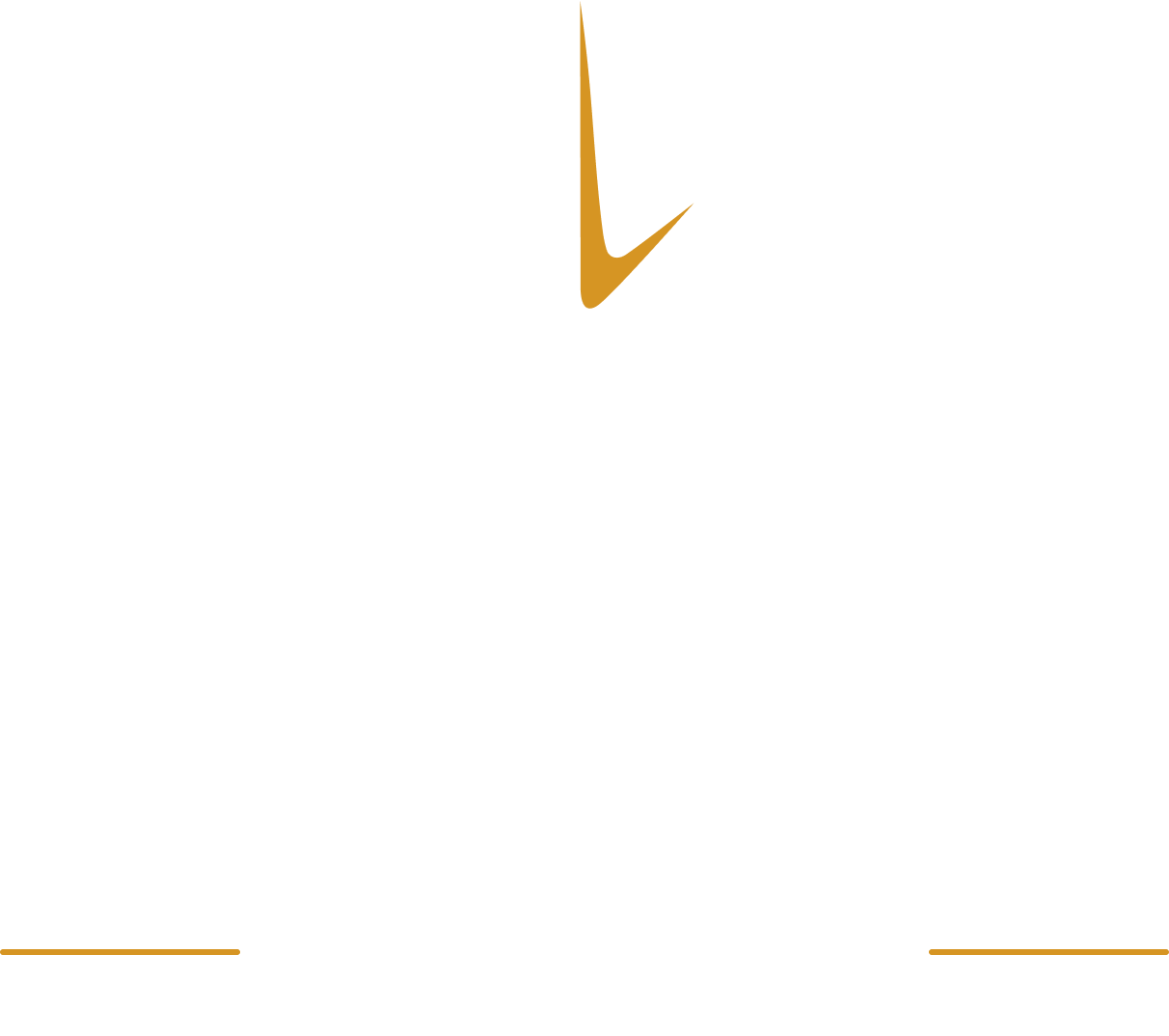 TrueNorth Retire logo